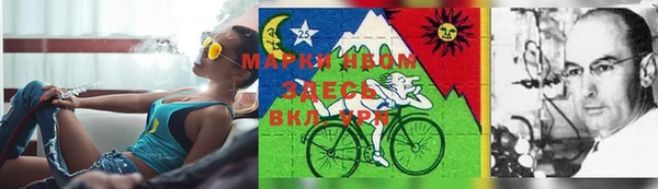 дурь Инсар