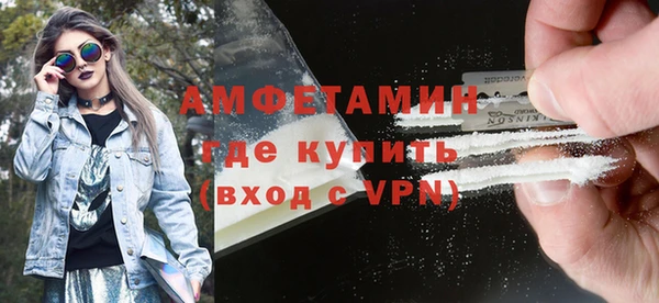 дурь Инсар